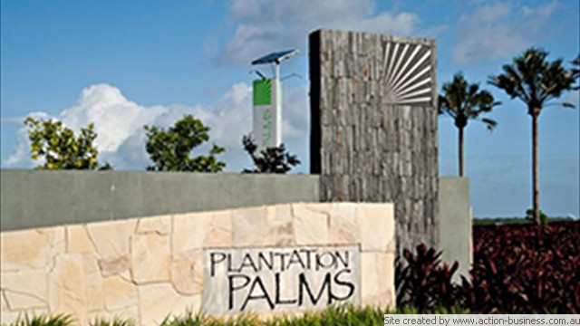 Plantation Palms